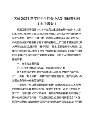 区长2025年度民主生活会个人对照检查材料（五个带头）