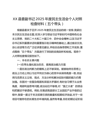 XX县委副书记2025年度民主生活会个人对照检查材料（五个带头）