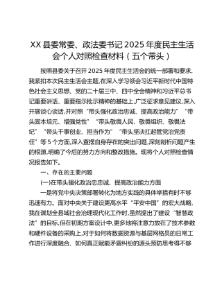 XX县委常委、政法委书记2025年度民主生活会个人对照检查材料（五个带头）