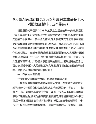 XX县人民政府县长2025年度民主生活会个人对照检查材料（五个带头）