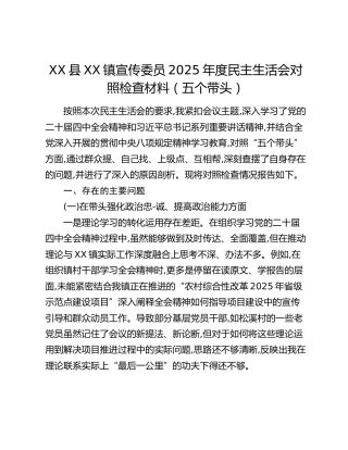 XX县XX镇宣传委员2025年度民主生活会对照检查材料（五个带头）