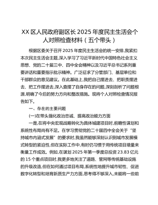 XX区人民政府副区长2025年度民主生活会个人对照检查材料（五个带头）_1