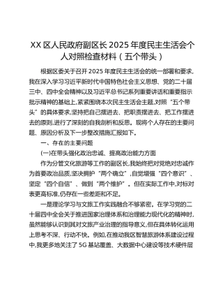 XX区人民政府副区长2025年度民主生活会个人对照检查材料（五个带头）