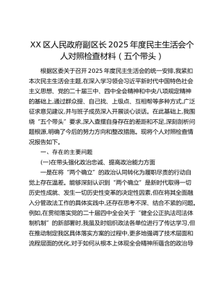 XX区人民政府副区长2025年度民主生活会个人对照检查材料（五个带头） (3)