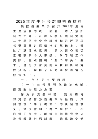 2025年度民主生活会个人对照检查（乡镇5700字）