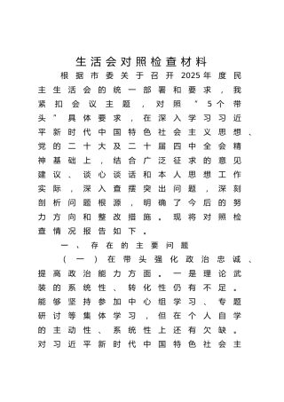 2025年度民主生活会个人对照检查（财政7200字）