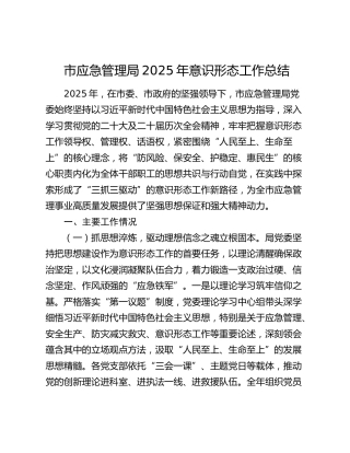 市应急管理局2025年意识形态工作总结