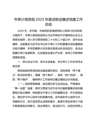 市审计局党组2025年度述职述廉述党建工作总结