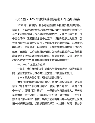 办公室2025年度抓基层党建工作述职报告