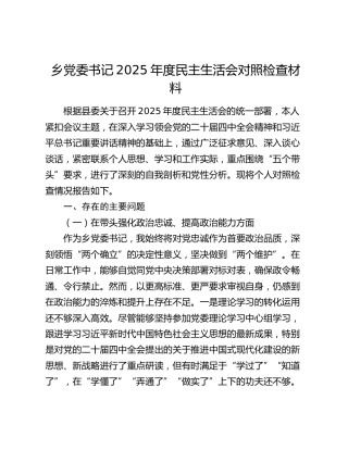 乡党委书记2025年度民主生活会对照检查材料