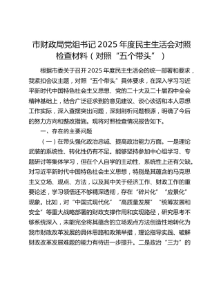 市财政局党组书记2025年度民主生活会对照检查材料（对照“五个带头”）