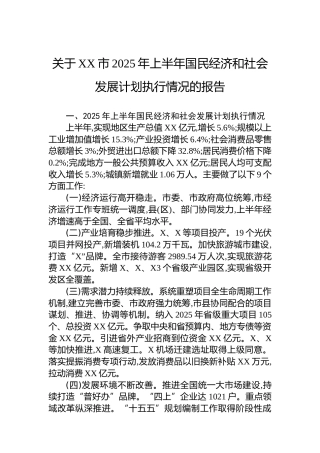 关于XX市2025年上半年国民经济和社会发展计划执行情况的报告