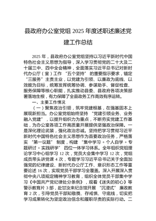 县政府办公室党组2025年度述职述廉述党建工作总结