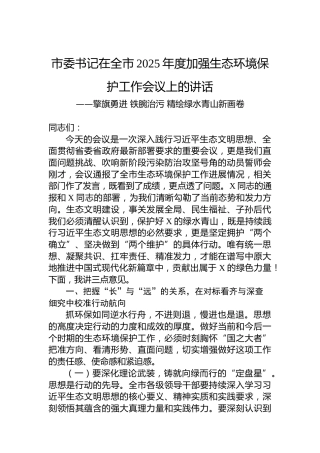市委书记在全市2025年度加强生态环境保护工作会议上的讲话
