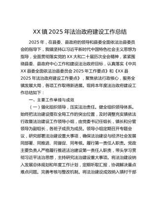 XX镇2025年法治政府建设工作总结