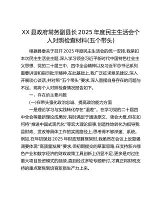 XX县政府常务副县长2025年度民主生活会个人对照检查材料（五个带头）