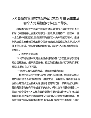 XX县应急管理局党组书记2025年度民主生活会个人对照检查材料(五个带头)