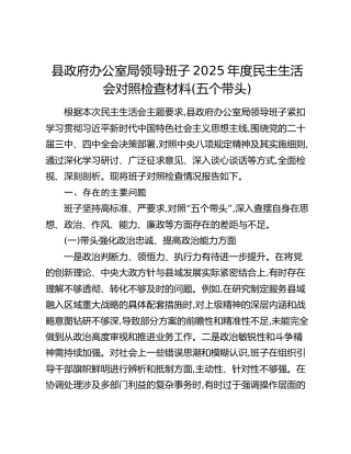 XX县县政府办公室局领导班子2025年度民主生活会对照检查材料（五个带头）