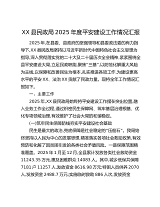 XX县民政局2025年度平安建设工作情况汇报