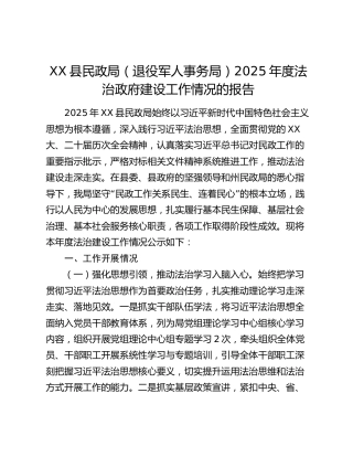 XX县民政局（退役军人事务局）2025年度法治政府建设工作情况的报告
