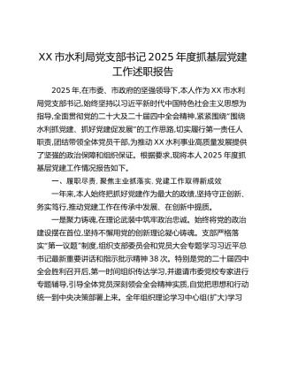 XX市水利局党支部书记2025年度抓基层党建工作述职报告