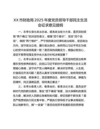 XX市财政局2025年度党员领导干部民主生活会征求意见提纲