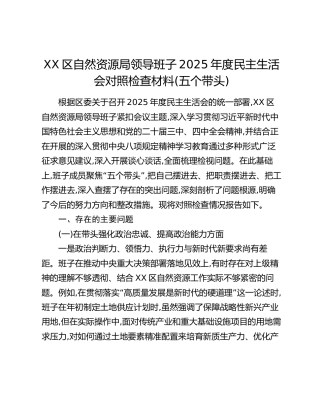 XX区自然资源局领导班子2025年度民主生活会对照检查材料（五个带头）