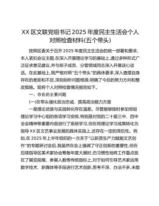 XX区文联党组书记2025年度民主生活会个人对照检查材料（五个带头）