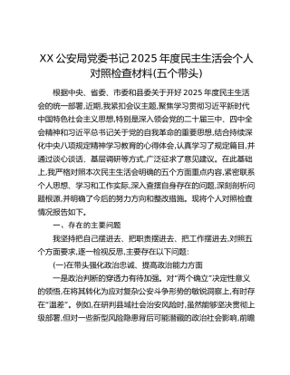 XX公安局党委书记2025年度民主生活会个人对照检查材料(五个带头)