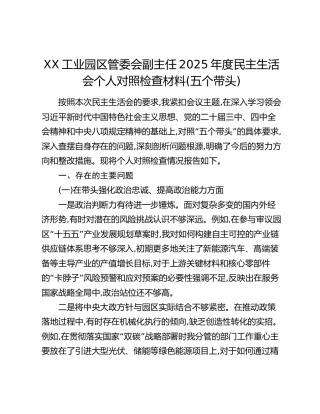 XX工业园区管委会副主任2025年度民主生活会个人对照检查材料（五个带头）