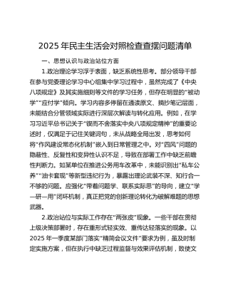 2025年民主生活会对照检查查摆问题清单