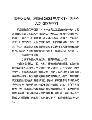 镇党委委员、副镇长2025年度民主生活会个人对照检查材料（五个带头）
