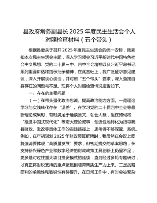 县政府常务副县长2025年度民主生活会个人对照检查材料（五个带头）