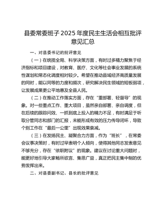 县委常委班子2025年度民主生活会相互批评意见汇总