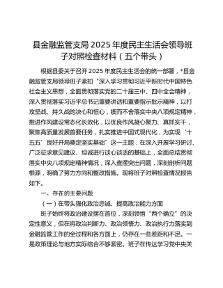 县金融监管支局2025年度民主生活会领导班子对照检查材料（五个带头）