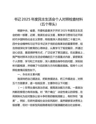 书记2025年度民主生活会个人对照检查材料(五个带头)