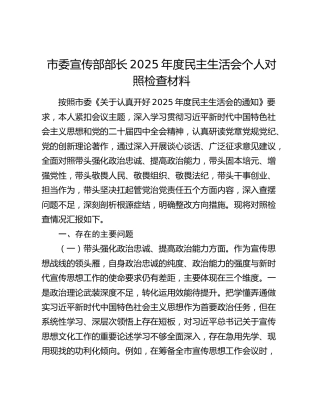 市委宣传部部长2025年度民主生活会个人对照检查材料