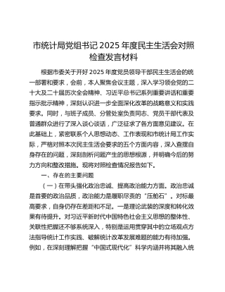 市统计局党组书记2025年度民主生活会对照检查发言材料