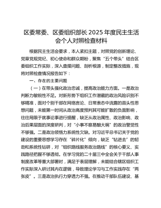 区委常委、区委组织部长2025年度民主生活会个人对照检查材料（五个带头）