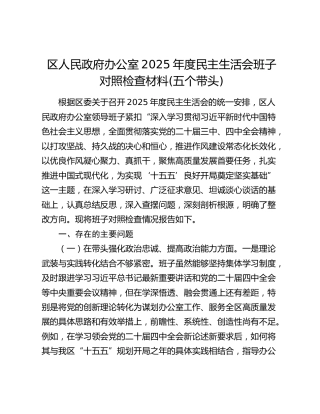 区人民政府办公室2025年度民主生活会班子对照检查材料(五个带头)