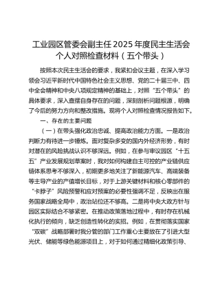 工业园区管委会副主任2025年度民主生活会个人对照检查材料（五个带头）
