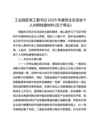 工业园区党工委书记2025年度民主生活会个人对照检查材料(五个带头)