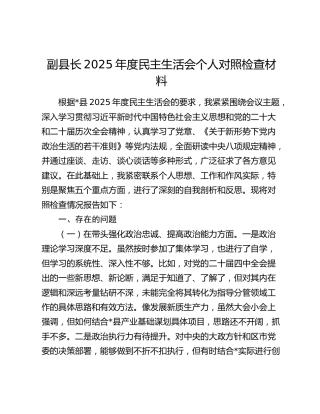 副县长2025年度民主生活会个人对照检查材料