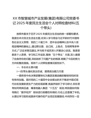 XX市智慧城市产业发展(集团)有限公司党委书记2025年度民主生活会个人对照检查材料(五个带头)