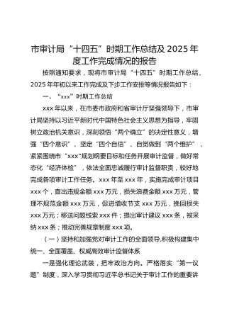 市审计局“十四五”时期工作总结及2025年度工作完成情况的报告