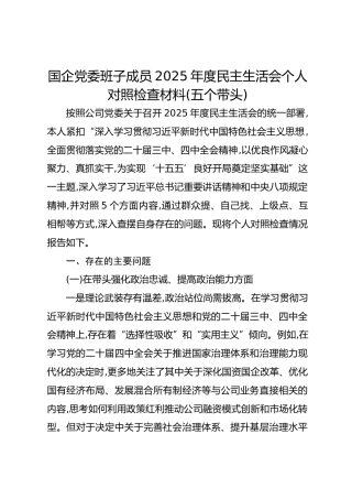 国企党委班子成员2025年度民主生活会个人对照检查材料(五个带头)