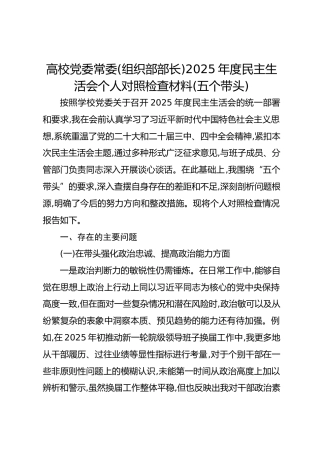 高校党委常委(组织部部长)2025年度民主生活会个人对照检查材料(五个带头)