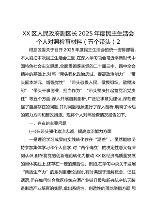 XX区人民政府副区长2025年度民主生活会个人对照检查材料（五个带头）2
