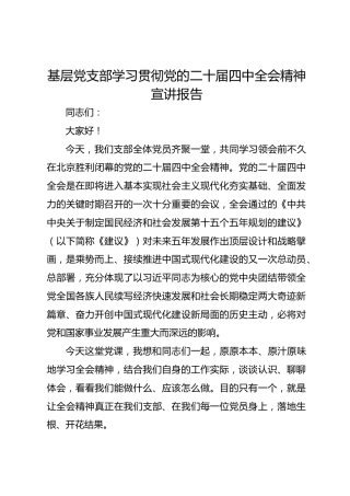 基层党支部学习贯彻党的二十届四中全会精神宣讲报告