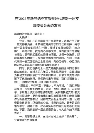 在2025年新当选党支部书记代表新一届支部委员会表态发言